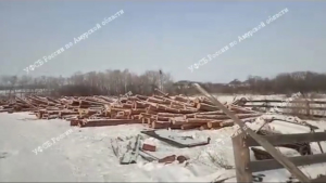 В Ромненском округе срубили деревья на несколько миллионов рублей - gtrkamur.ru
