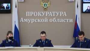 В Приамурье выявлено более 18 тысяч нарушений в сфере уголовно-правовой статистики - gtrkamur.ru