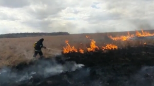 В Благовещенском районе пожарные борются с крупным палом - gtrkamur.ru
