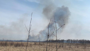 С сегодняшнего дня в Архаринском районе начал действовать особый противопожарный режим - gtrkamur.ru