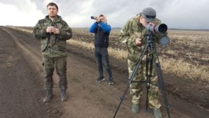 Численность перелетных гусей в заказнике «Амурский» уменьшилась в пять раз - gtrkamur.ru