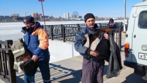 В Благовещенске спасатели и пограничники сняли собаку с льдины - gtrkamur.ru