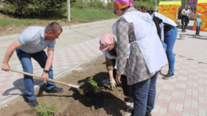 В благовещенском Плодопитомнике высадили три десятка цветов - gtrkamur.ru