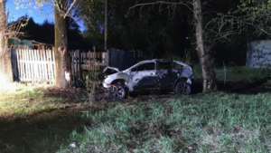 Авария в Прогрессе забрала жизнь водителя иномарки - gtrkamur.ru