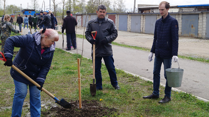 Около пяти тысяч молодых растений высадят в рамках акции «Сад Памяти» по всему Приамурью в этом году - gtrkamur.ru
