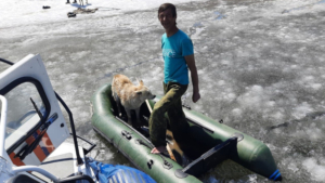 На Бурейском водохранилище мужчина с собакой оказались в ледовом плену - gtrkamur.ru