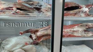 Около трехсот килограммов мяса без документов утилизировали в Приамурье - gtrkamur.ru