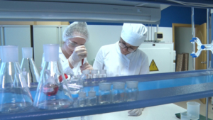 Амурчанам предлагают бесплатно освоить востребованную профессию - gtrkamur.ru