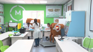Лучших специалистов племенного дела выявляли в Приамурье - gtrkamur.ru