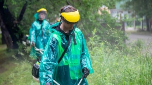На улицы Благовещенска вышли косари – их штат нуждается в пополнении - gtrkamur.ru
