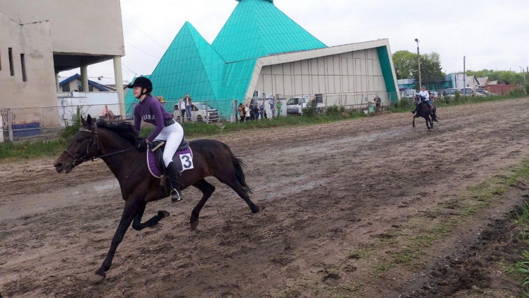 Скаковой сезон открыли на благовещенском ипподроме - gtrkamur.ru
