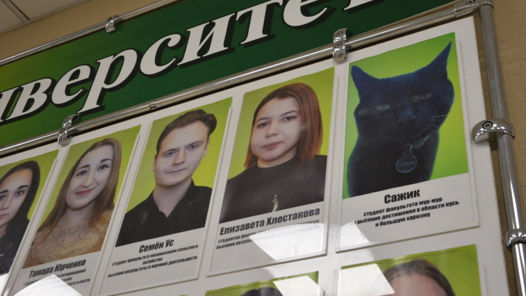 Кот Сажик стал «почетным студентом» ДальГАУ - gtrkamur.ru