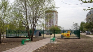 В Благовещенске сделали первую площадку для выгула собак - gtrkamur.ru