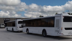 В Свободном могут начать курсировать автобусы на экотопливе - gtrkamur.ru