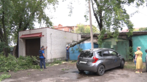 Непогода в Благовещенске повалила деревья на припаркованные автомобили - gtrkamur.ru
