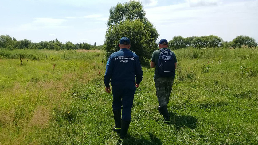 Пошел за ягодой и не вернулся: в Архаринском районе ведутся поиски пропавшего мужчины - gtrkamur.ru