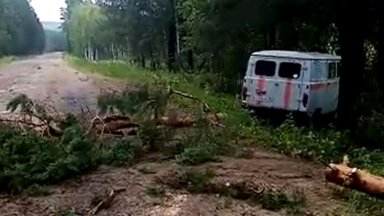 Накануне сильный ветер повалил деревья в двух районах области - gtrkamur.ru