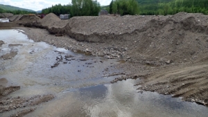 Золотодобытчик не смог оспорить штраф за загрязнение ручья в Приамурье - gtrkamur.ru
