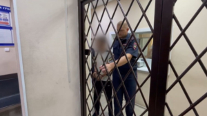 Автохама, устроившего гонки в Благовещенске, арестовали на трое суток - gtrkamur.ru