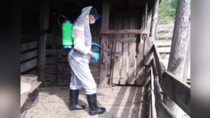 В Ивановке дезинфицируют подворья после паводка, а в Зее сняли режим ЧС - gtrkamur.ru