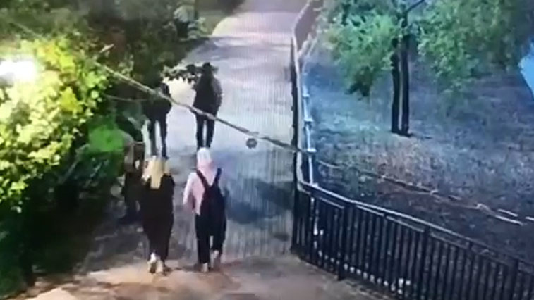 Группа молодежи разбросала мусор в благовещенском парке Дружбы - gtrkamur.ru