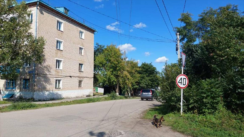 В Прогрессе погиб рабочий во время спиливания веток дерева - gtrkamur.ru