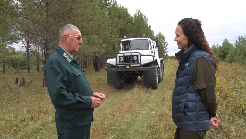 День работников леса отмечают в Приамурье - gtrkamur.ru