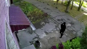 В Благовещенске мужчина с ножом пытался отобрать сумку с пенсиями у почтальона - gtrkamur.ru