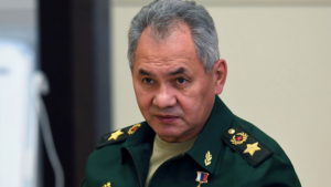 Сергей Шойгу заявил, что срочников не будут отправлять в зону СВО - gtrkamur.ru