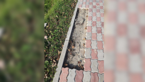 В Шимановске вандалы украли часть тротуара - gtrkamur.ru