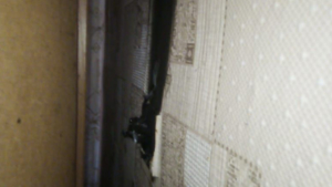 Замыкание электропроводки чуть не привело к пожару в одном из МКД Благовещенского района - gtrkamur.ru