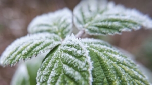 Вчерашние температуры установили в области новый метеорекорд - gtrkamur.ru