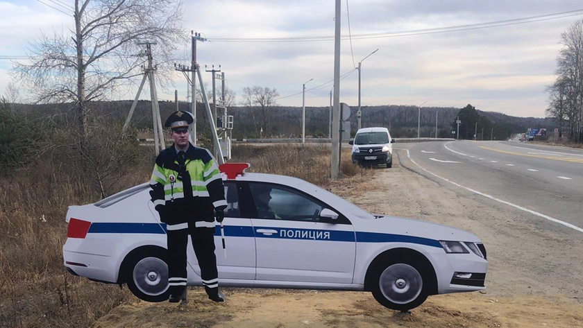 В Приамурье на аварийных участках разместили макеты инспектора ДПС возле патрульного авто - gtrkamur.ru