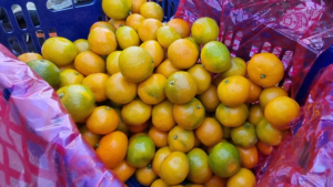 В Благовещенск пришла первая за три года партия мандаринов из КНР - gtrkamur.ru