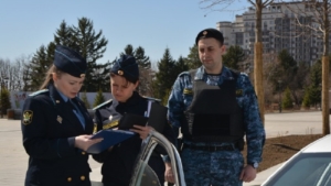 Благовещенской пенсионерке пришлось оплатить 124 штрафа внука-лихача - gtrkamur.ru