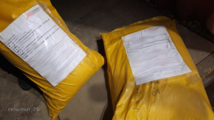 Потенциально опасные семена кукурузы задержали при попытке ввоза в Приамурье - gtrkamur.ru