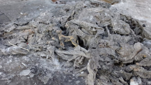 Амурчанин слил отходы из автоцистерны не там, где положено, и получил штраф - gtrkamur.ru