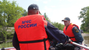 В Завитинском и Октябрьском округах подтоплены приусадебные участки  - gtrkamur.ru