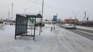 Уголовное дело возбудили из-за погибшей под колесами автобуса пенсионерки в Чигирях - gtrkamur.ru