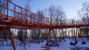 Городской парк в Свободном откроют для посетителей к августу 2023 года - gtrkamur.ru