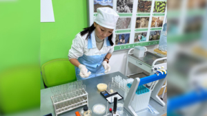 Преподаватели из Якутии прошли обучение в Амурском аграрном колледже - gtrkamur.ru