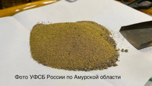 Благовещенец может отправиться в колонию за незаконный оборот 1,5 кг золота - gtrkamur.ru