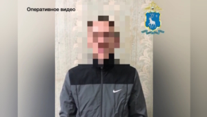 18-летнего благовещенца подозревают в мошенничестве: он взял микрозайм на чужое имя - gtrkamur.ru