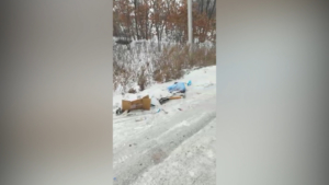 Грязная дорога рядом с мусороперерабатывающим заводом возмутила благовещенцев - gtrkamur.ru