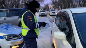 Почти три десятка благовещенских автомобилистов нарушили правила перевозки детей - gtrkamur.ru