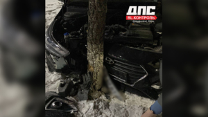 В Благовещенске дерево спасло пешехода от наезда автомобиля - gtrkamur.ru