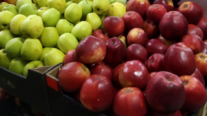 11 случаев вредителей и инфекций выявили в Приамурье в импортной продукции - gtrkamur.ru