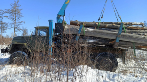 Сразу двоих лесорубов поймали в Бурейском лесничестве за один день - gtrkamur.ru