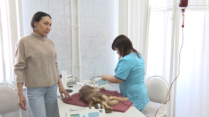 Амурские зоозащитники пытаются наладить систему донорства крови для животных - gtrkamur.ru