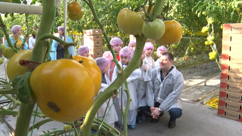 Благовещенским дошколятам показали, как зимой растут овощи и зелень - gtrkamur.ru